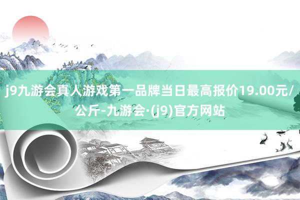 j9九游会真人游戏第一品牌当日最高报价19.00元/公斤-九游会·(j9)官方网站