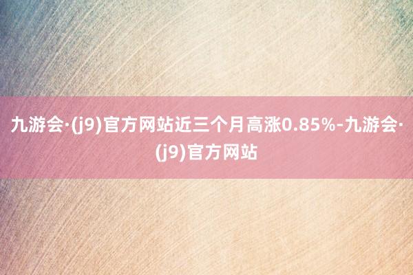 九游会·(j9)官方网站近三个月高涨0.85%-九游会·(j9)官方网站