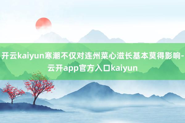 开云kaiyun寒潮不仅对连州菜心滋长基本莫得影响-云开app官方入口kaiyun