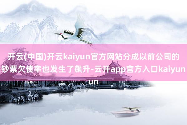 开云(中国)开云kaiyun官方网站分成以前公司的钞票欠债率也发生了飙升-云开app官方入口kaiyun